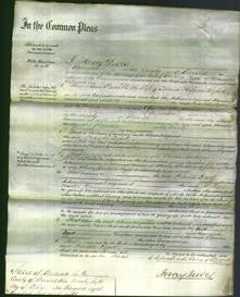 Court of Common Pleas - Priscilla Dossett-Original Ancestry