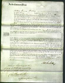 Court of Common Pleas - Lucy Ann Dening