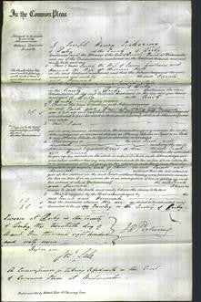 Court of Common Pleas - Sarah Goodwin and Hannah Hall-Original Ancestry