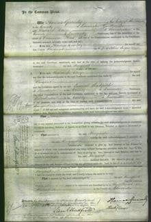 Court of Common Pleas - Margaret Sagar-Original Ancestry