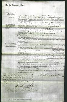 Court of Common Pleas - Elizabeth Creese-Original Ancestry