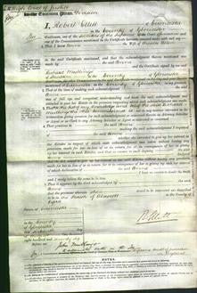 Court of Common Pleas - Ann Allen-Original Ancestry