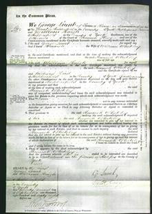 Court of Common Pleas - Hannah Whiteley-Original Ancestry