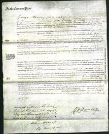 Court of Common Pleas - Eliza Stocking-Original Ancestry