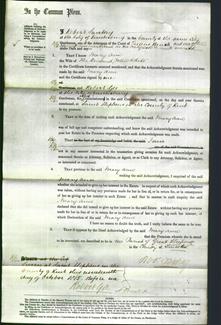 Court of Common Pleas - Mary Ann White