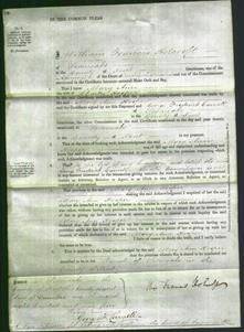 Court of Common Pleas - Mary Ann Hooper-Original Ancestry