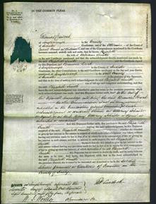 Court of Common Pleas - Elizabeth Smith-Original Ancestry