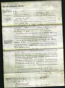 Court of Common Pleas - Elizabeth Aspin-Original Ancestry