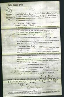 Court of Common Pleas - Emily Kemp-Original Ancestry