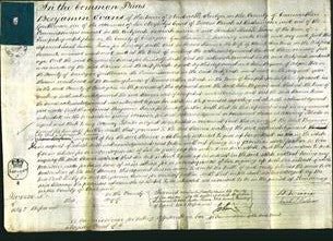 Court of Common Pleas - Eleanor Jenkins-Original Ancestry