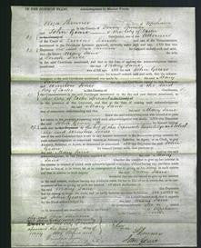 Court of Common Pleas - Mary Jane Price-Original Ancestry