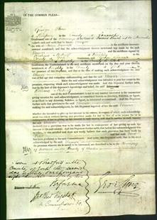 Court of Common Pleas - Eleanor Boocock-Original Ancestry