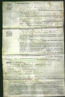 Court of Common Pleas - Mary Ann Hogg-Original Ancestry