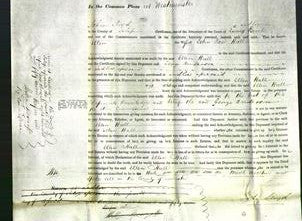 Court of Common Pleas - Ellen Hall-Original Ancestry