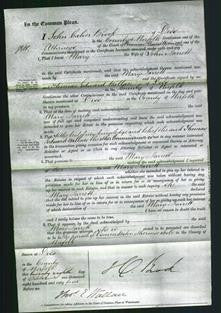 Court of Common Pleas - Mary Jarrett-Original Ancestry