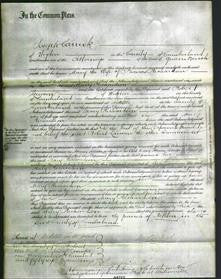Court of Common Pleas - Mary Richardson-Original Ancestry