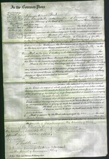 Court of Common Pleas - Sarah Tabor-Original Ancestry