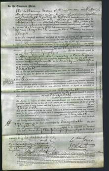 Court of Common Pleas - Elizabeth Lloyd-Original Ancestry