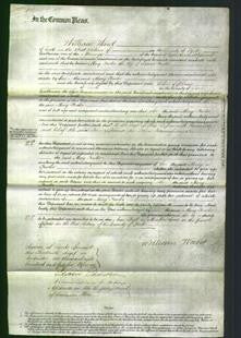 Court of Common Pleas - Mary Fowler-Original Ancestry