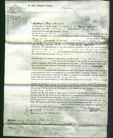 Court of Common Pleas - Mary Towler-Original Ancestry