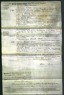 Court of Common Pleas - Sarah Jane Coulton-Original Ancestry