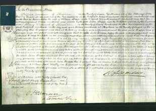 Court of Common Pleas - Julia Briggs-Original Ancestry