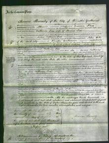 Court of Common Pleas - Catherine Fox-Original Ancestry