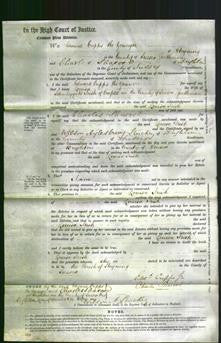 Court of Common Pleas - Louisa Irish-Original Ancestry