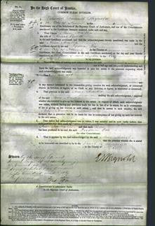 Court of Common Pleas - Anne Martha Porrett-Original Ancestry