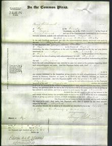 Court of Common Pleas - Elizabeth Stocks-Original Ancestry