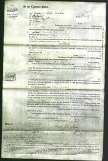 Court of Common Pleas - Ellen Greene-Original Ancestry