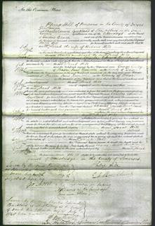 Court of Common Pleas - Ann Sarah Hill-Original Ancestry