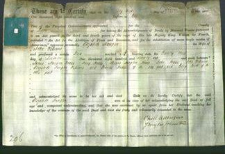 Deed by Married Women - Elizabeth Hampion Williams-Original Ancestry