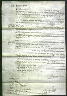 Court of Common Pleas - Elizabeth Alloway-Original Ancestry