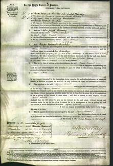 Court of Common Pleas - Agnes Conseil-Original Ancestry