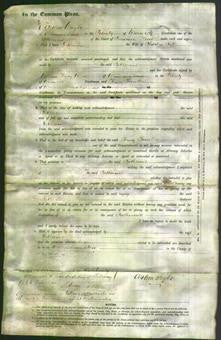 Court of Common Pleas - Catherine Cuff-Original Ancestry