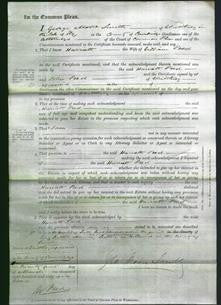 Court of Common Pleas - Harriett Peed-Original Ancestry