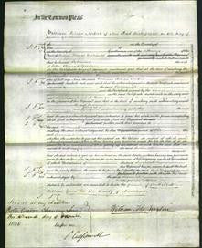 Court of Common Pleas - Susannah Goodwin-Original Ancestry