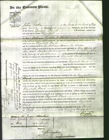 Court of Common Pleas - Elizabeth Ward-Original Ancestry