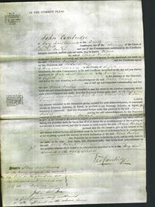 Court of Common Pleas - Maria Winkup-Original Ancestry