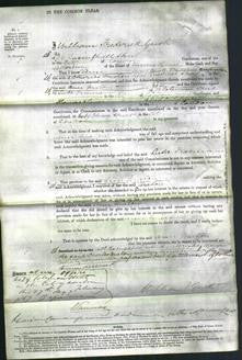 Court of Common Pleas - Ann Maton-Original Ancestry