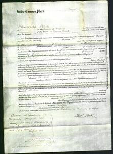 Court of Common Pleas - Charlotte Allen-Original Ancestry