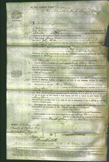 Court of Common Pleas - Mary Ann Wilks-Original Ancestry