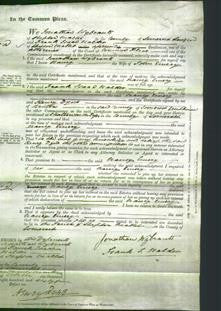 Court of Common Pleas - Nancy Emery