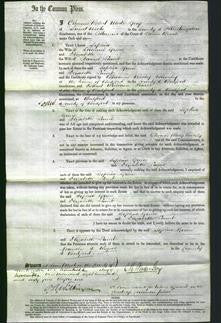 Court of Common Pleas - Sophia Green and Elizabeth Lamb-Original Ancestry
