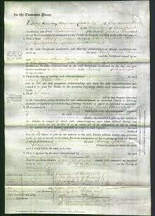 Court of Common Pleas - Mary Jane Hanmill-Original Ancestry