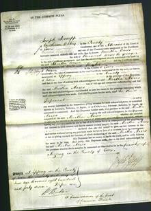 Court of Common Pleas - Martha Acres-Original Ancestry