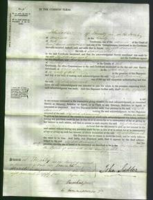Court of Common Pleas - Elizabeth Hammond-Original Ancestry
