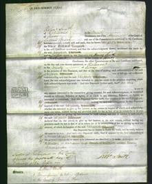 Court of Common Pleas - Elizabeth Warwick-Original Ancestry