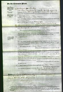 Court of Common Pleas - Mary Ann White